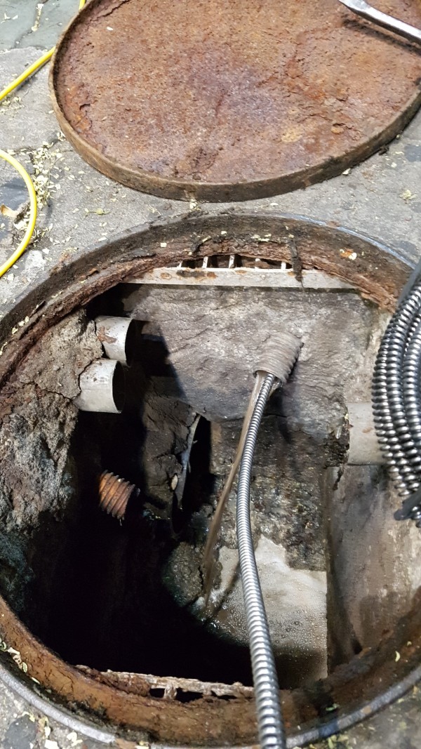 81056b21dabd9d380beb00e2d91e6597_1482713