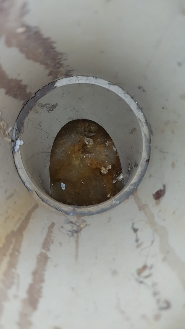 88aedc225a7ee982e37b943e7713c9d3_1518485