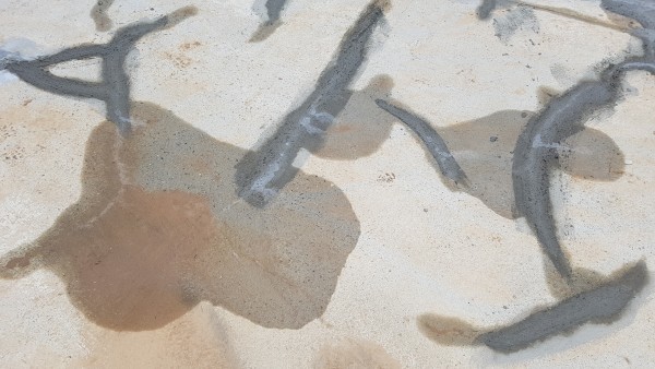 1e6941f375592edb5f709ef11b32480b_1549880