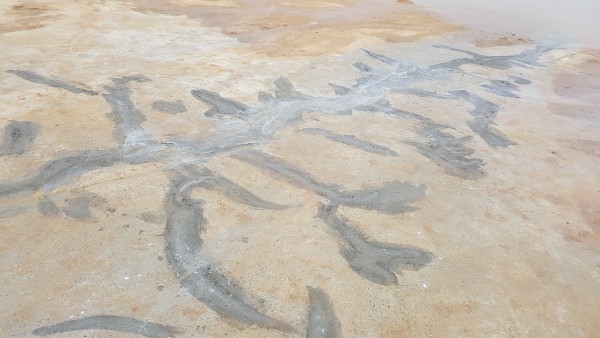 1e6941f375592edb5f709ef11b32480b_1549880