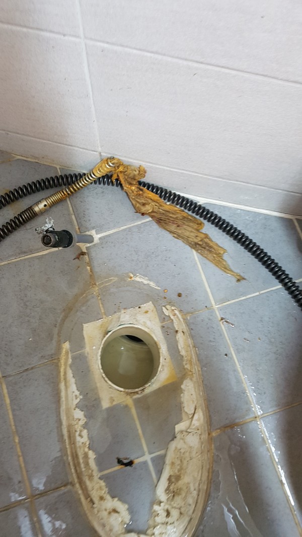 1e6941f375592edb5f709ef11b32480b_1549880