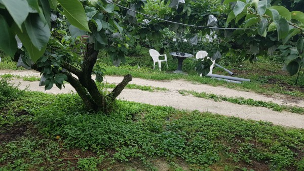 63c2e24158691ab2b4bff20fe2c62d37_1550551