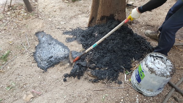 63c2e24158691ab2b4bff20fe2c62d37_1550553