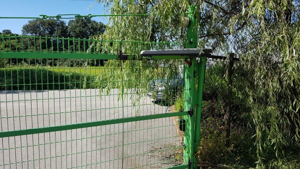 3dd007c53f050da104d771e7f16f8318_1576474