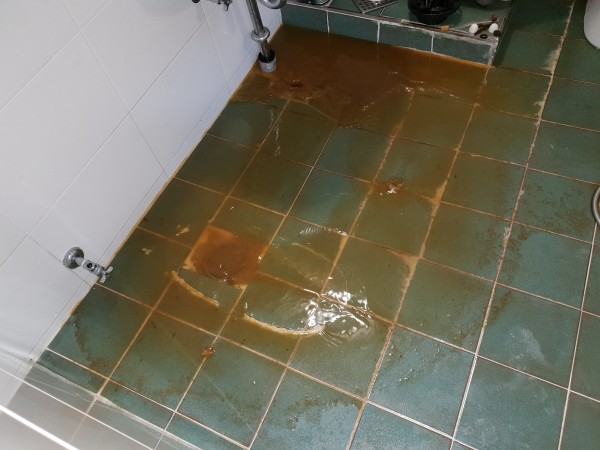 3dd007c53f050da104d771e7f16f8318_1576478