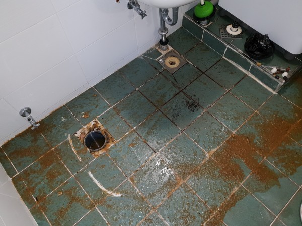 3dd007c53f050da104d771e7f16f8318_1576478